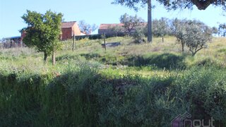 Terreno de 2520 m² em Castelo Branco
