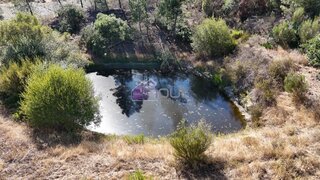 Land for sale in Castelo Branco, Portugal — €37,000