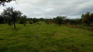 Land for sale in Idanha-a-Nova, Portugal — €38,000
