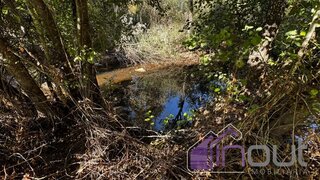 Land for sale in Castelo Branco, Portugal — €15,500