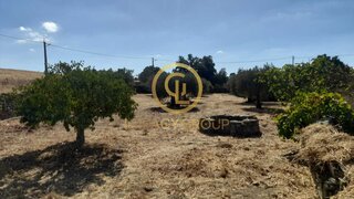 Terreno · 1000 m² · 19 500 €