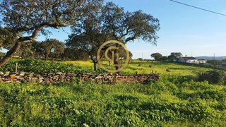 Terreno · 13 250 m² · 36 000 €