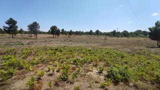 Terreno em Trancoso