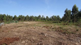 Land for sale in Esposende, Portugal — €255,000