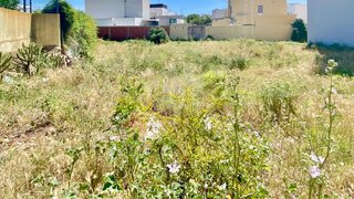 Land for sale in Olhão, Portugal — €300,000