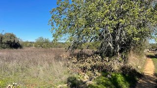 Land for sale in São Brás de Alportel, Portugal — €55,000