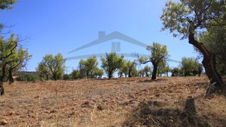 Terreno de 21 000 m² em Faro