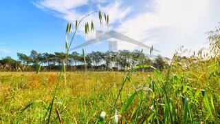 Terreno de 15 150 m² em Faro