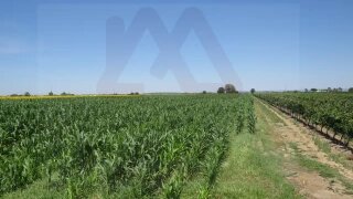 Land for sale in Chamusca, Portugal — €80,000