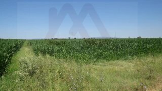 Land for sale in Chamusca, Portugal — €150,000