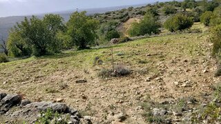 Land for sale in Albufeira, Portugal — €90,000