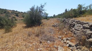 Terreno · 3920 m² · 21 000 €