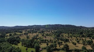 Land for sale in Penamacor, Portugal — €11,305
