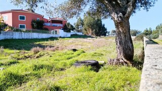 Land for sale in Castelo Branco, Portugal — €42,500