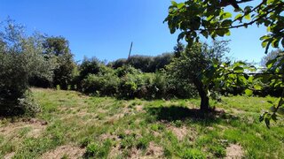 Land for sale in Penamacor, Portugal — €9,900