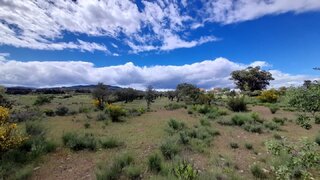 Land for sale in Fundão, Portugal — €18,500