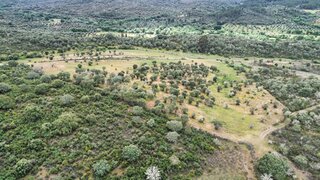 Terreno em Penamacor