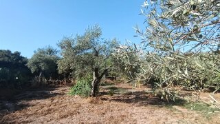Terreno · 10 160 m² · 19 900 €