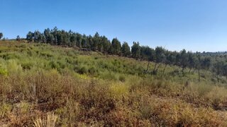 Terreno em Castelo Branco · 3520 m² · 4500 €