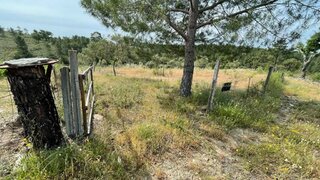 Land for sale in Castelo Branco, Portugal — €18,000