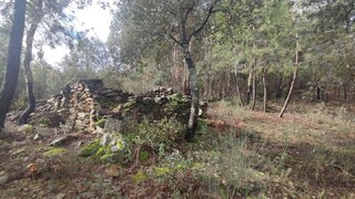 Land for sale in Penamacor, Portugal — €8,690