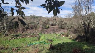 Land for sale in Idanha-a-Nova, Portugal — €10,690