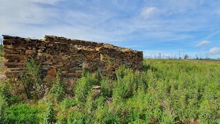 Terreno de 17 200 m² em Castelo Branco