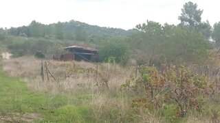 Land for sale in Penamacor, Portugal — €7,500