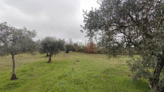 Land for sale in Penamacor, Portugal — €8,500