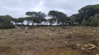 Terreno para venda em Sintra, Portugal — 250 000 €