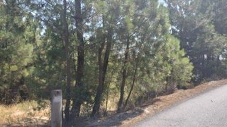 Land for sale in Alijó, Portugal — €330,000