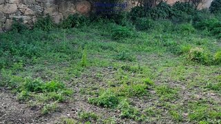 Land for sale in Vila do Conde, Portugal — €98,000