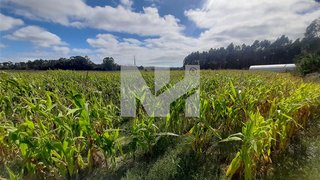 Land for sale in Vila do Conde, Portugal — €635,000