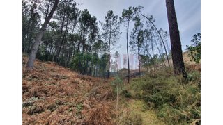 Terreno em Terras de Bouro · 15 000 m² · 39 000 €