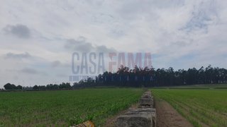 Terreno · 10 000 m² · 270 000 €