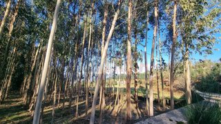 Terreno · 11 000 m² · 450 000 €