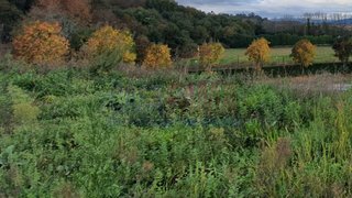 Terreno · 690 m² · 78 000 €