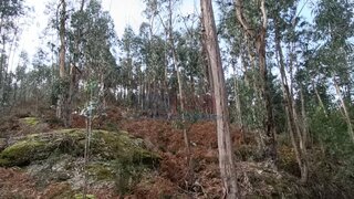 Terreno para venda em Póvoa de Lanhoso, Portugal — 7500 €