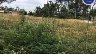 Land for sale in Vila Nova de Famalicão, Portugal — €39,920