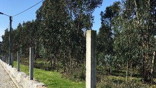 Land for sale in Vila Nova de Famalicão, Portugal