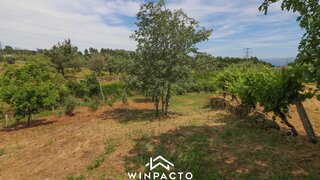 Land for sale in Nelas, Portugal — €50,000