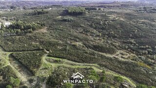 Land for sale in Nelas, Portugal — €80,000