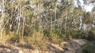 Land for sale in Figueira da Foz, Portugal — €26,000