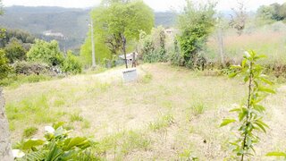 Land for sale in Penacova, Portugal — €8,500