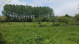 Land for sale in Figueira da Foz, Portugal — €65,000