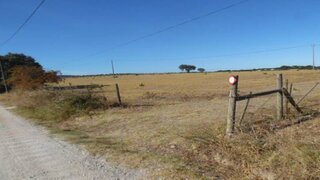 Terreno em Estremoz