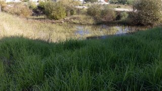 Land for sale in Cantanhede, Portugal — €60,000