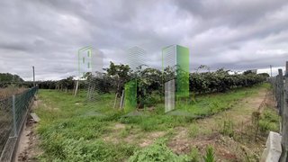 Land for sale in Cantanhede, Portugal — €50,000