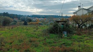 Terreno para venda em Nelas, Portugal — 35 000 €