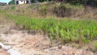 Land for sale in Figueira da Foz, Portugal — €130,000